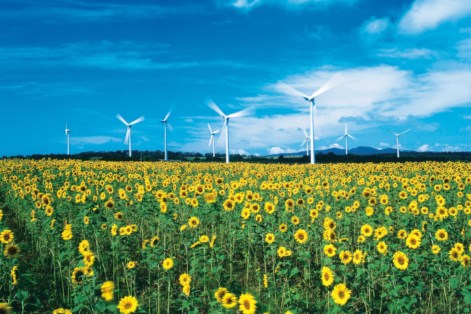 郡山の布引高原の風景